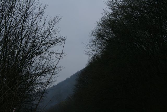 gal/wegry - rallye eger, budapeszt 4-6.04.08/IMG_1641 [640x480].JPG